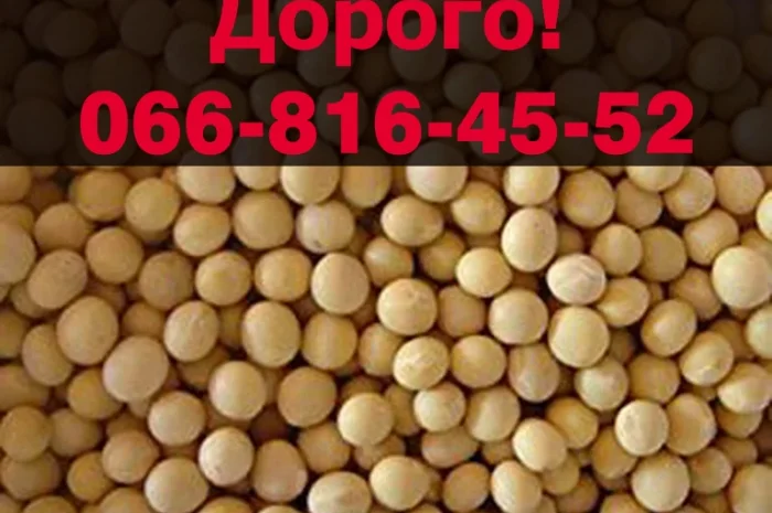 Закупаю сою по высоким ценам- фото № 1