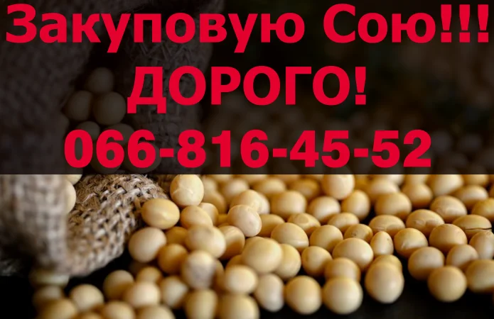 Покупка сои на постоянной основе- фото № 1