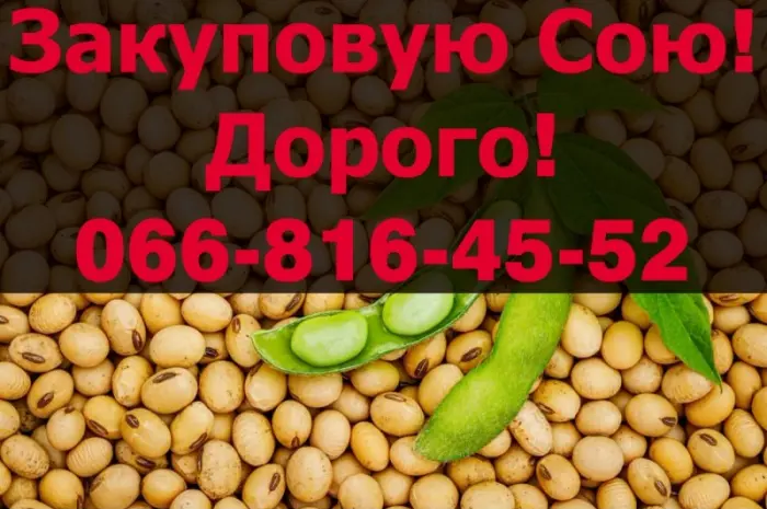 На постійній основі закуповуємо СОЮ- фото № 1