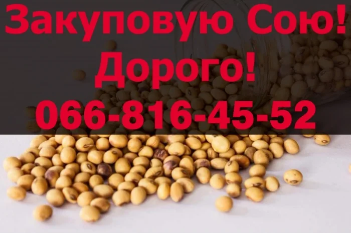Закупка сои в любых объемах- фото № 1