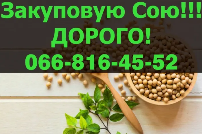 Заготовка СОИ урожай 2024года!Контракт!расчет на весах- фото № 1