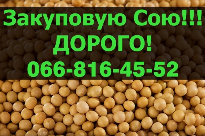Купуємо сою! Висока ціна! Запрошуємо виробників до співпраці- фото № 1