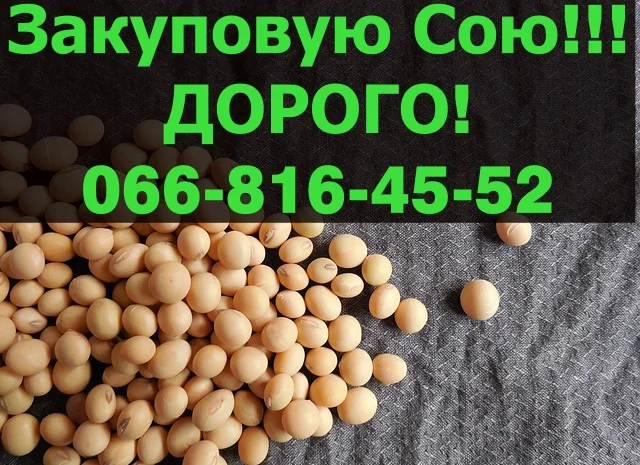 Купуємо сою на постійній основі- фото № 1