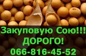Куплю СОЮ от фермеров и населения!Открыты большие контракты- фото № 1