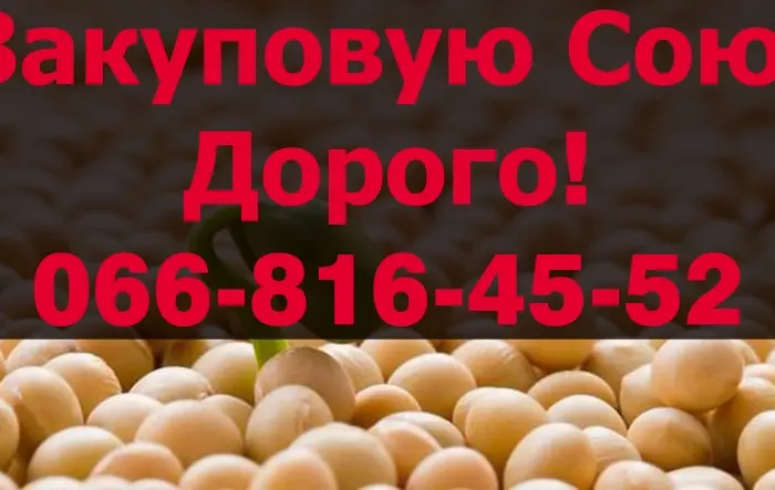 Предприятие Закупает Соя!Контракт!Дорого!Оплата на Весах- фото № 1