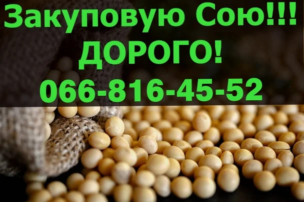 Покупаем сою по выгодным условиям- фото № 1
