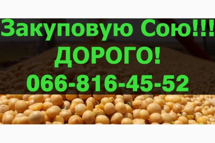 Закупівля сої в будь-якій кількості! Швидка оплата!- фото № 1