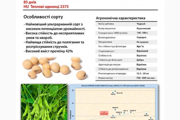Соя PS0035- фото № 3