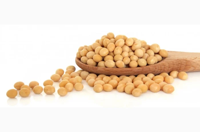 Купуємо сою (ГМО та не ГМО) в м. Суми- фото № 1