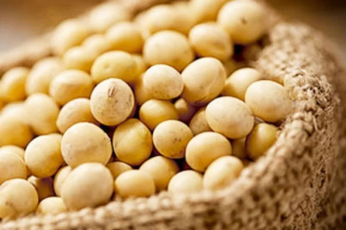 Куплю сою 1/2ф в Полтаве- фото № 1