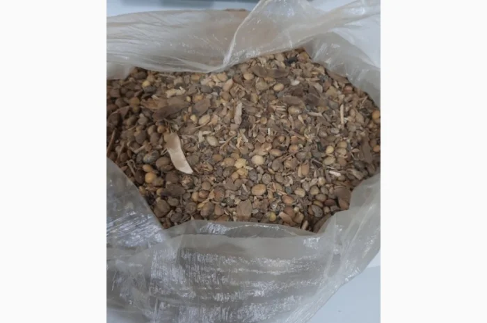 Підприємство Купує Половинки сої. Соєві відходи. Погнила, Осколки, Четвертинка, Пріла соя- фото № 3