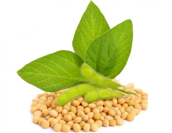 Закуповуємо сою великими та дрібними оптовими партіями- фото № 1