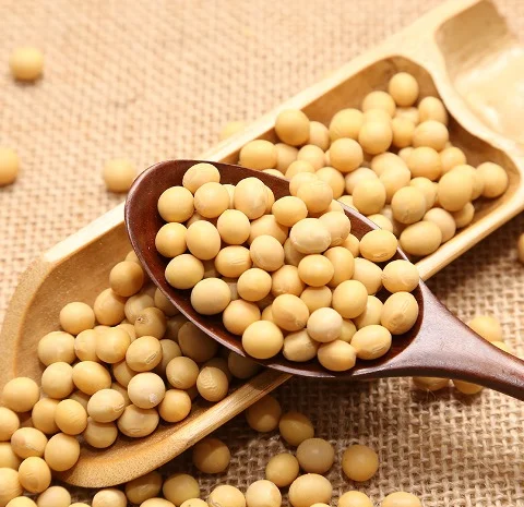 Купую сою оптом від 1 тонни- фото № 1