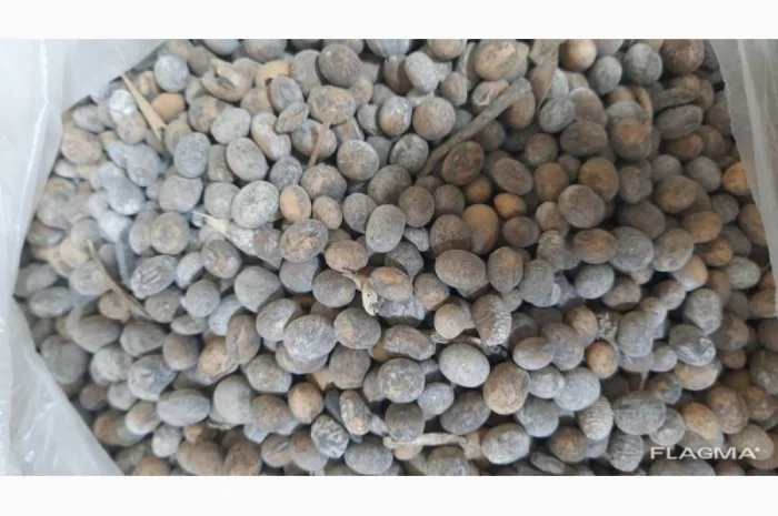 Куплю отходы сои оптом- фото № 2