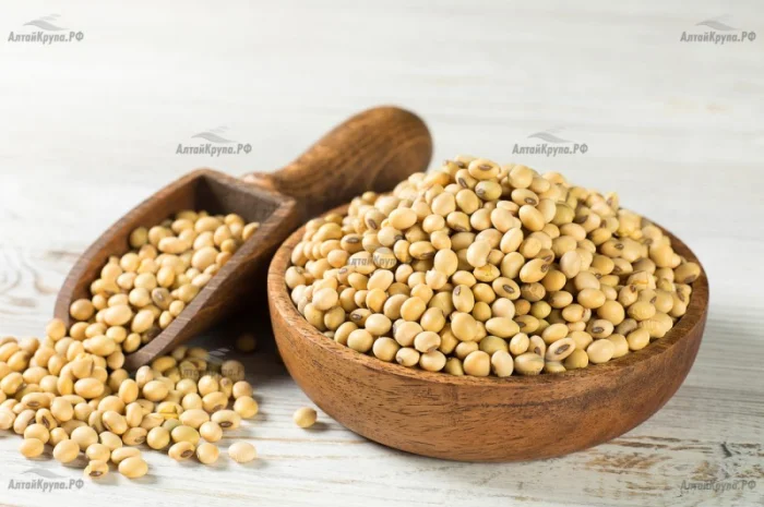 Куплю СОЮ з поля. Оплата: на вагах (Ф1, Ф2)- фото № 1