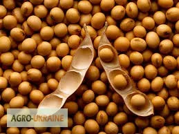 Купую сою оптом- фото № 1