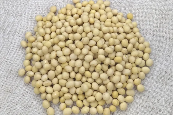 Насіння сої Арніка, первая репродукция (ультраскоростиглая, без ГМО)- фото № 1