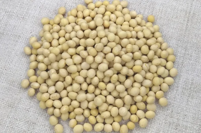 Насіння сої Арніка - посівний матеріал- фото № 3