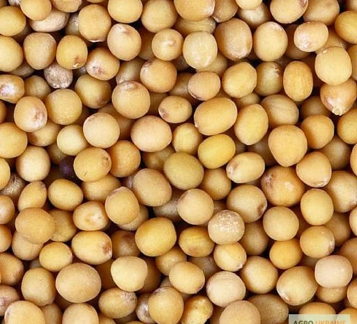 Закупаем сою в г.Николаев- фото № 1