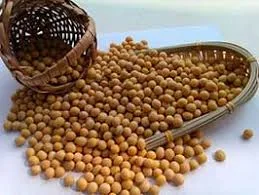 Сорт сои Оникс - высокоурожайный и устойчивый- фото № 1