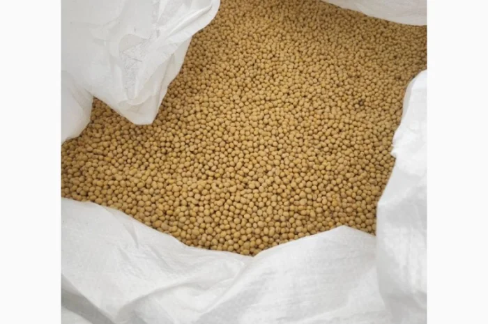 Продаж насіння сої сорту P03T68R2- фото № 2