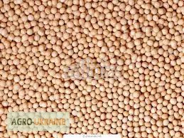 Купуємо сою на самовивіз- фото № 1