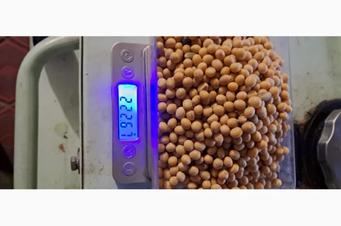 Насіння сої Піонер Т 2023 - висока врожайність- фото № 4