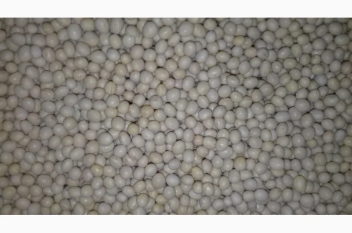 Семена сої 1 репродукції – продаж- фото № 4