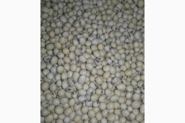 Насіння сої "S04D3". під Раундап. надстійка до стресових умов + відео- фото № 2