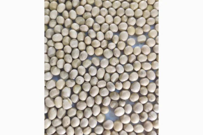 Купуємо сою по ф1 з ПДВ без ГМО- фото № 1