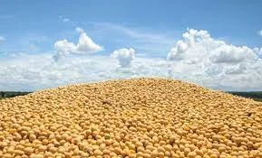 Купуємо сою, розрахунок одразу- фото № 1