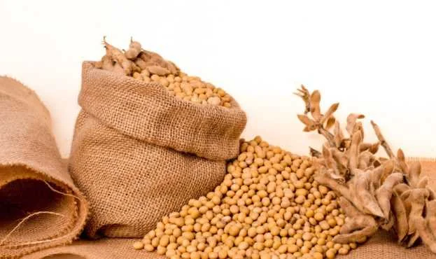 Куплю сою- фото № 2