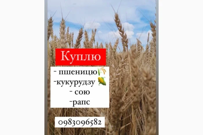 Куплю сою оптом- фото № 1