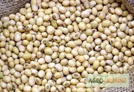 Закупаем сою в Винницкой области- фото № 1