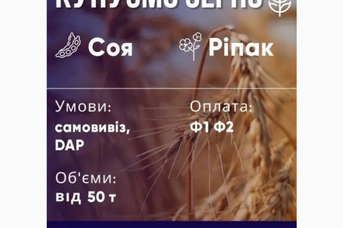 КУПЛЮ сою оптом постійно ГМО та не ГМО. Самовивіз. Дзвоніть- фото № 1