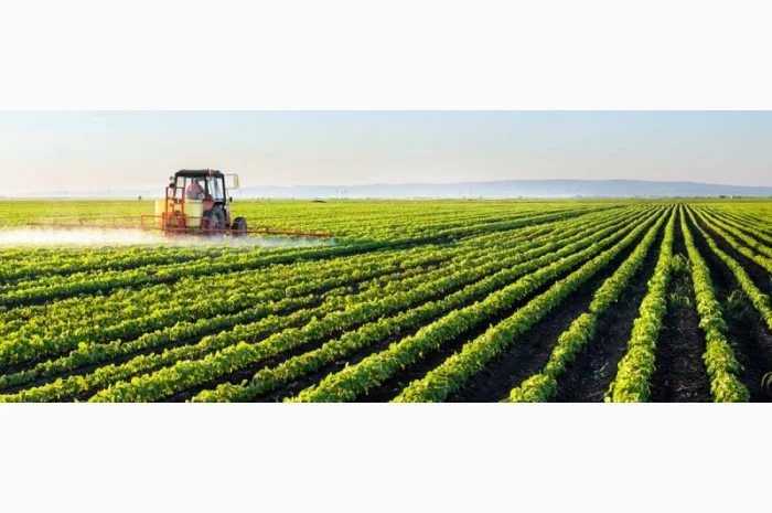 Закупка ГМО сои в Чернигове- фото № 1