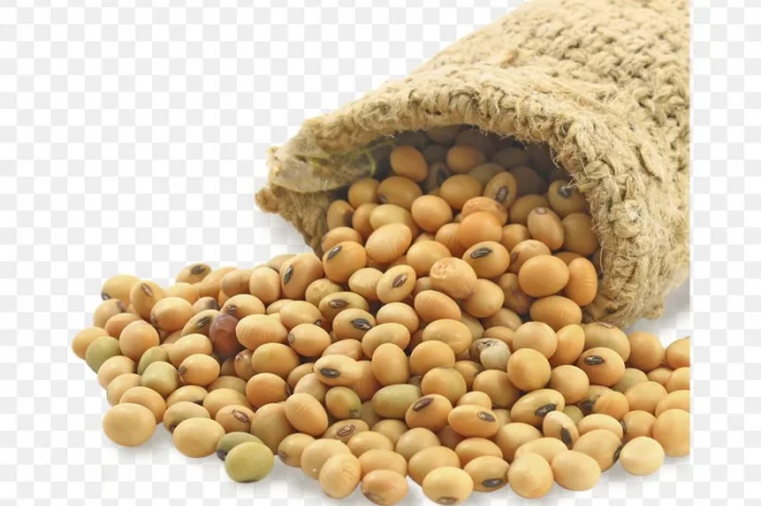 Купую сою оптом у будь-якій кількості- фото № 1