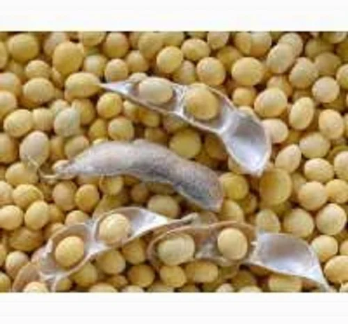 Закупаем сою в Винницкой области- фото № 1