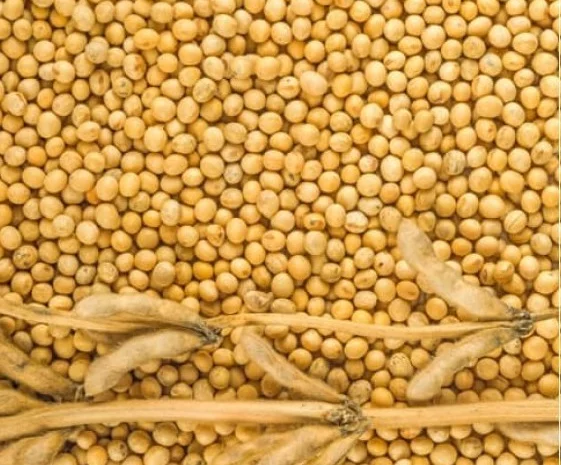 Куплю сою. Расчет на весах- фото № 1