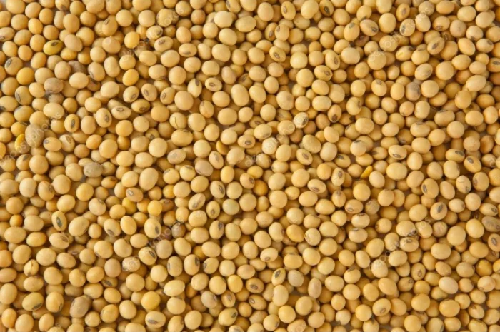 Закупаем сою на переработку. высокие цены- фото № 1