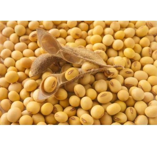 Соя сорт "Діона" еліта і перша- фото № 1