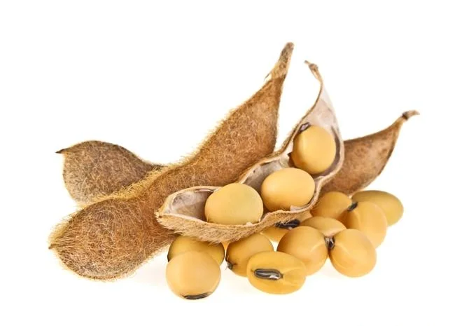 Куплю Сою- фото № 1