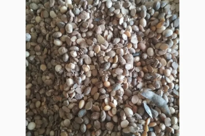 Куплю СОЮ- фото № 3