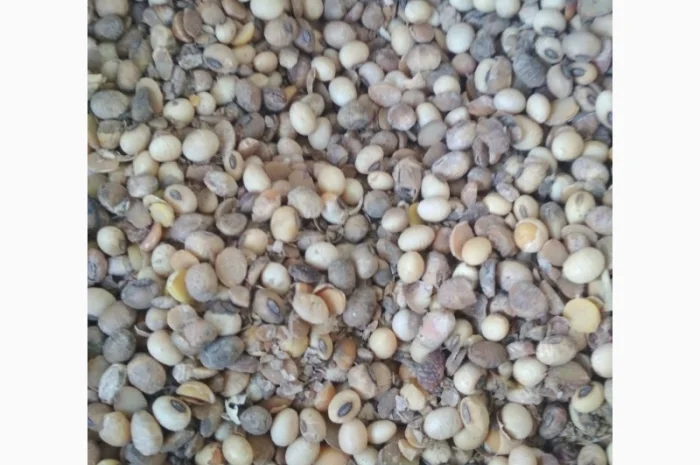 Куплю СОЮ- фото № 1