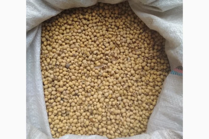 Куплю СОЮ- фото № 4