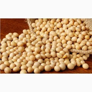 Покупаем сою дорого- фото № 1