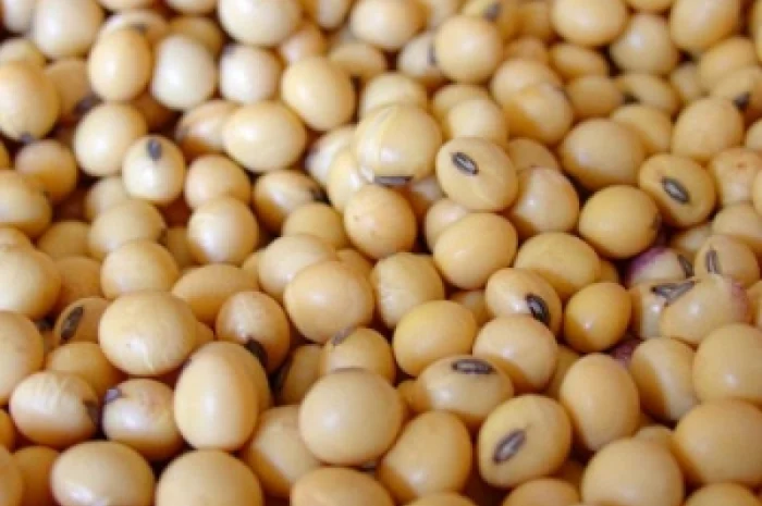 Закупаем отходы Сои любого качества- фото № 1