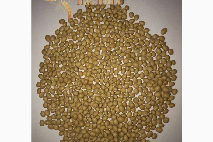 Продам семена сои S0009-M2 под Раундап RR2Y. ГМО- фото № 1