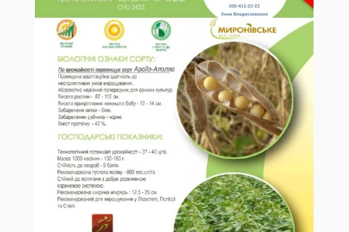 Семена сои под Раундап - Максус; Монро; Сенсор; Ультра, Венус - 1 репродукция- фото № 1