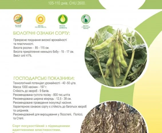 Семена сои под Раундап - Максус; Монро; Сенсор; Ультра, Венус - 1 репродукция- фото № 2